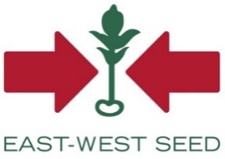 Logo 4